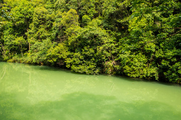 贵州小七孔卧龙风景