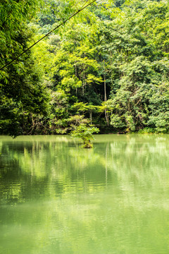 贵州小七孔卧龙风景