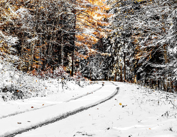 雪地小路