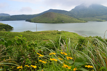 俞山岛