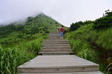 嵛山岛