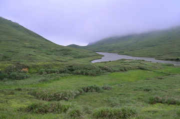 嵛山岛