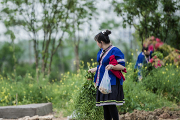 少数民族妇女