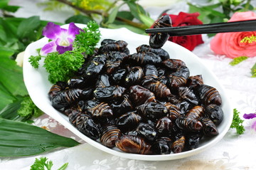 水煮蠶蛹