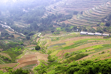 山间小路