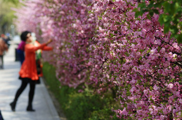 桃花