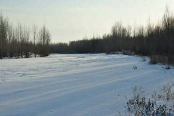 雪景