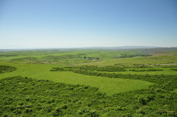 高原农场