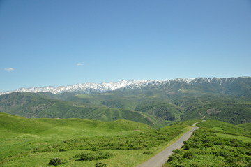 雪山草原