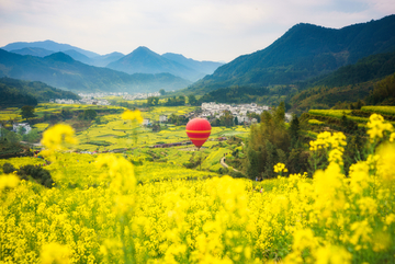 婺源江岭油菜花海