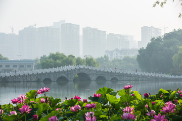 城市夏花