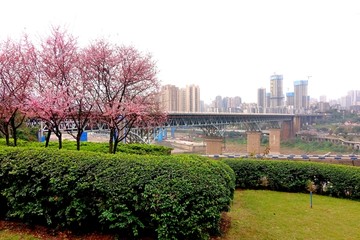 重庆嘉陵江大桥