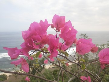 面朝大海 春暖花开