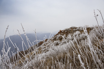 伏羲山冰挂