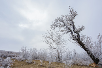 伏羲山冰挂