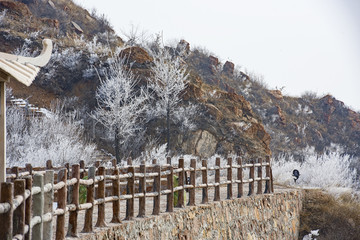 伏羲山冰挂