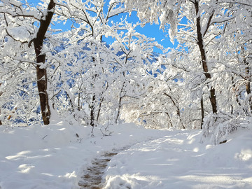 雪地小路