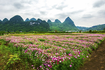 花海