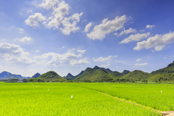 田园风光