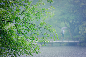 西湖风景