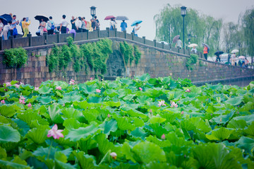 西湖风景