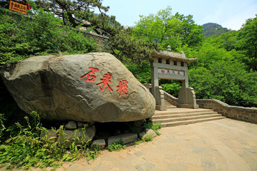 泰山风景名胜区飞来石五大夫松坊