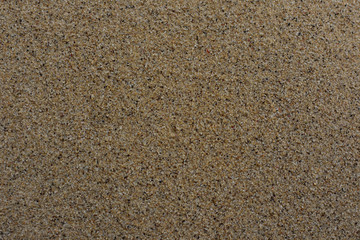 沙滩沙子贝壳浪花35