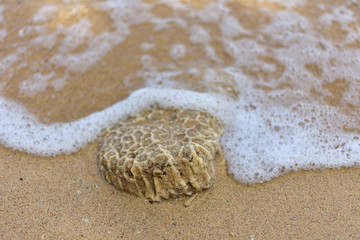 沙滩沙子贝壳浪花40