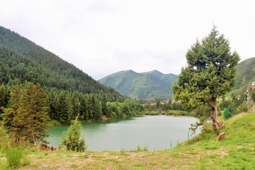 大峪沟风光