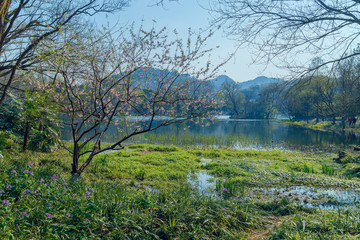 杭州太子湾公园