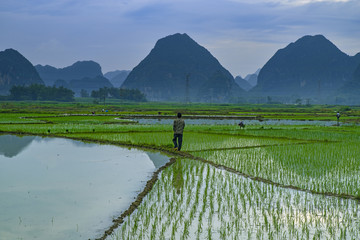 山水风景