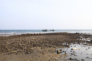 海边石滩