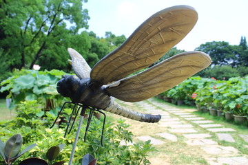 蜻蜓模型装饰