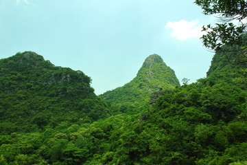 青山高山