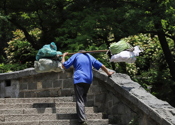 泰山挑山工