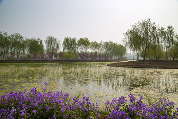 山东省临沂市兰陵国家农业公园