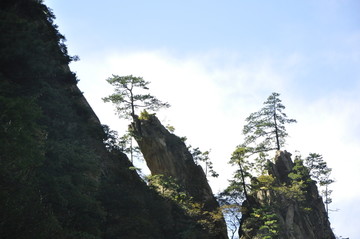 南阳西峡太平镇