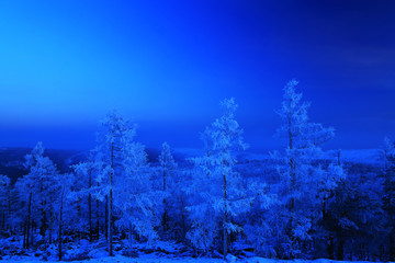 月光下的林海雪原