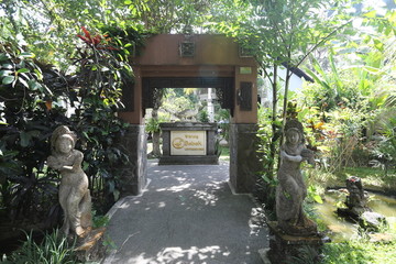 巴厘岛式庭院