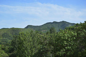 近处的树林和远山