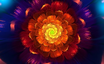 花卉裝飾畫