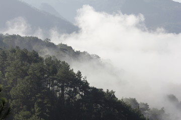 青山云雾