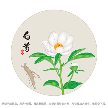 白芍