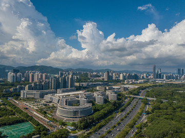 深圳湾红树林