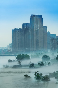 绵阳风湿地