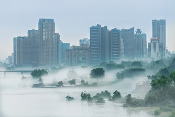 绵阳风湿地