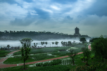 绵阳风湿地