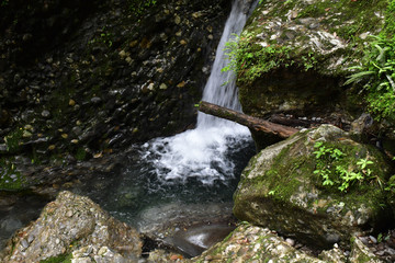 青城山山涧