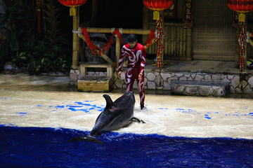 海豚表演水族馆