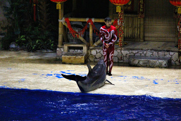 海豚表演水族馆